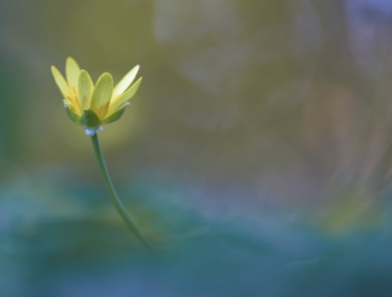 Come sopravvivere al tuo primo grande amore?